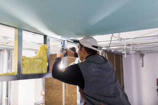 Best Insulation for Commercial Buildings  in Sunset Hills, MO