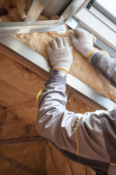 Best Insulation Contractor Near Me  in Sunset Hills, MO