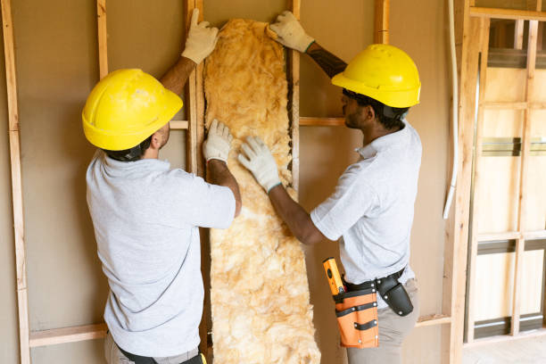 Best Professional Insulation Contractor  in Sunset Hills, MO
