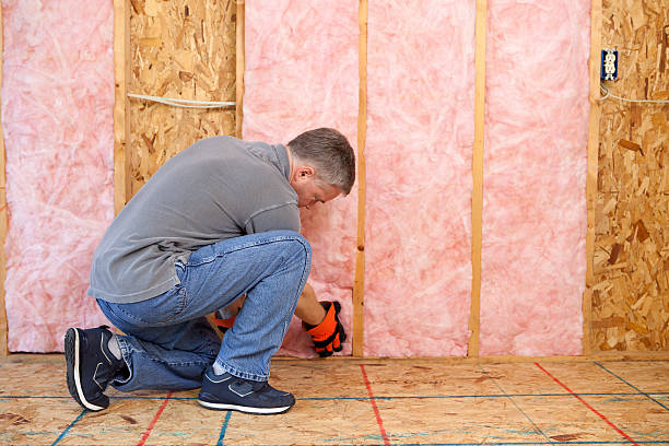 Best Insulation Replacement Services  in Sunset Hills, MO