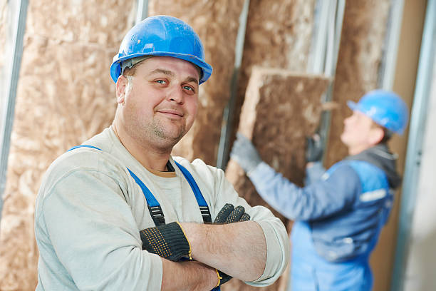 Best Insulation Replacement Services  in Sunset Hills, MO