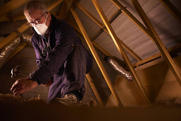 Best Insulation Removal  in Sunset Hills, MO